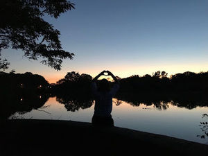 Meet your Posher, Telly